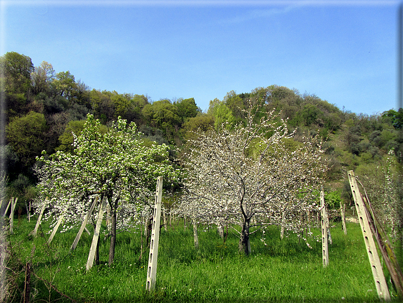 foto Colle San Benedetto